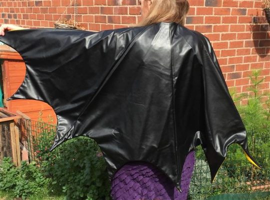 Batgirl cape